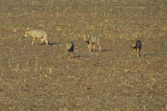 01_P1010380abs