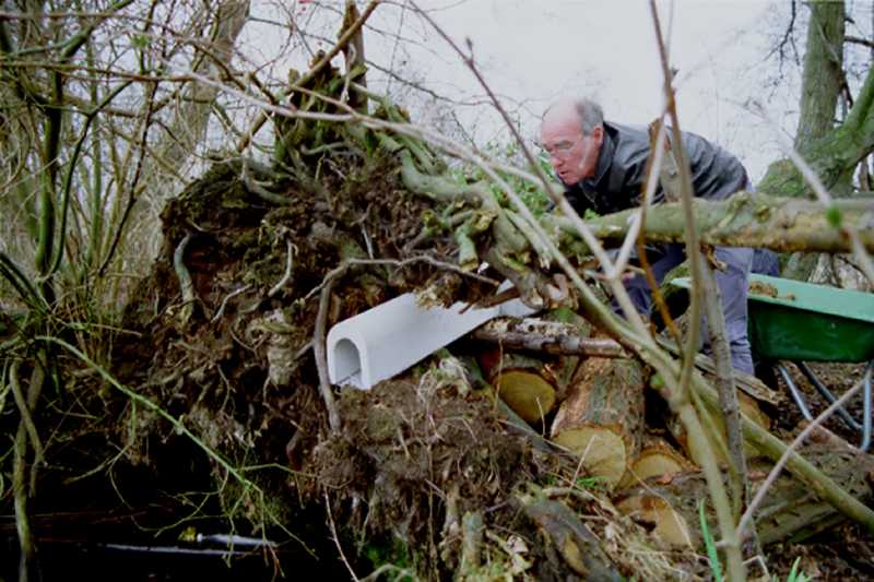 bild02.jpg