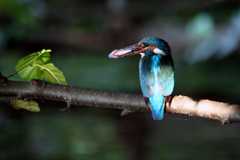IMG_33443ne.jpg