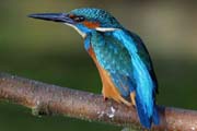 08_IMG_8389nu_Ausschnitt