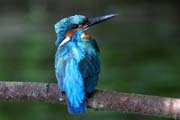 09_IMG_8730um