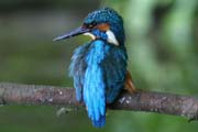 12_IMG_8716um