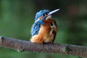 15_IMG_8756um