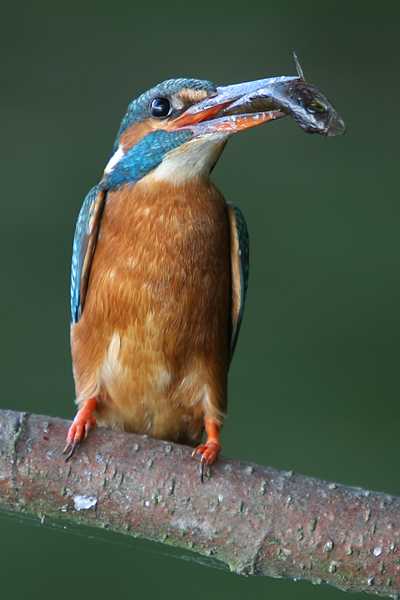 04_IMG_7849nu