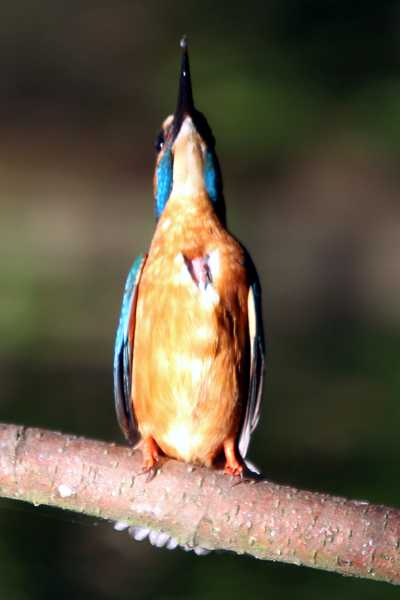 09_IMG_9392um