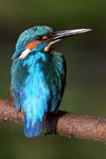 01_IMG_9204um