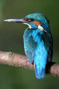 03_IMG_9220um
