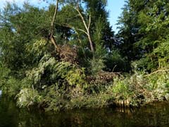 09_P1250732a