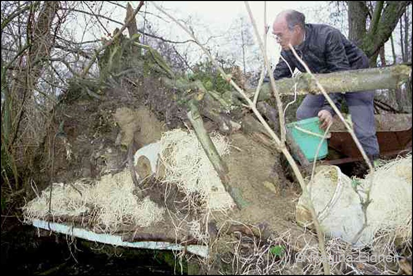 2001_v2402