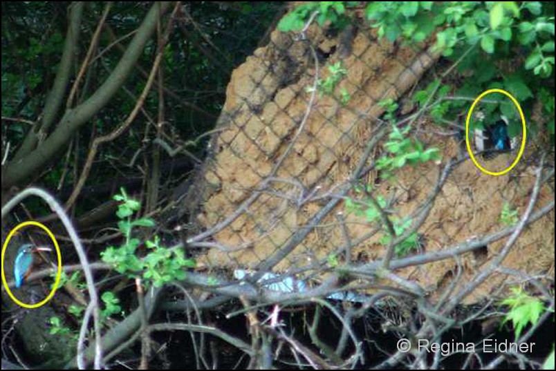 2002_bild05