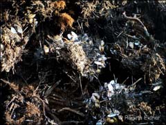 2015_03_P1250700