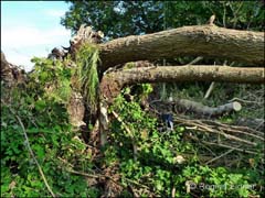 2015_06_P1250744_E