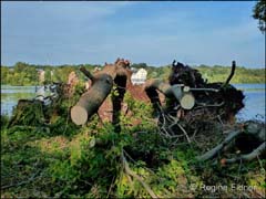 2015_07_P1250735_E