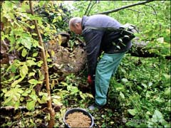2016_05_P1320372_b