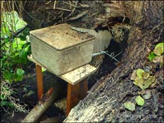 2016_07_P1320409_b