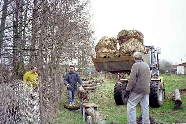 c2001.jpg